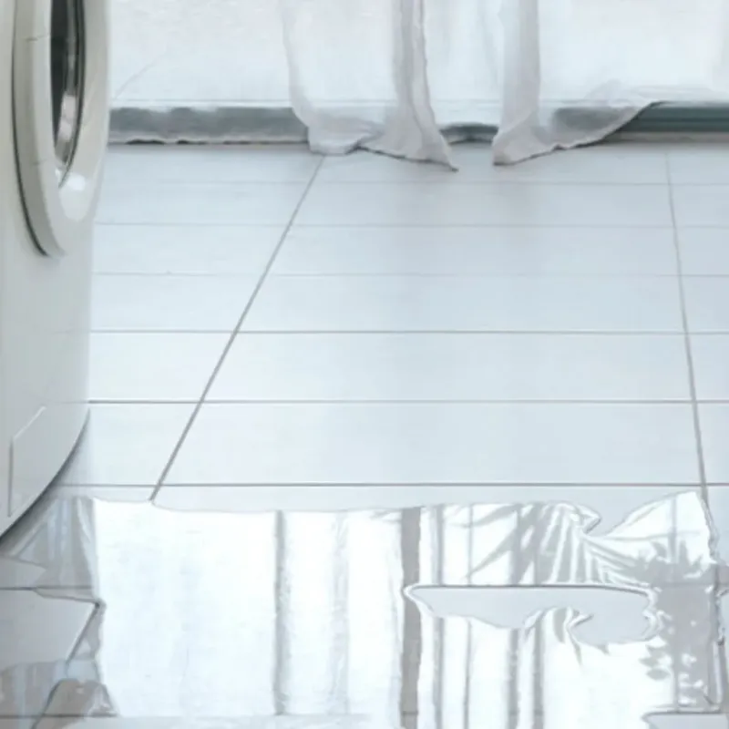 Appliance Leak Cleanup in Wolfforth, TX
